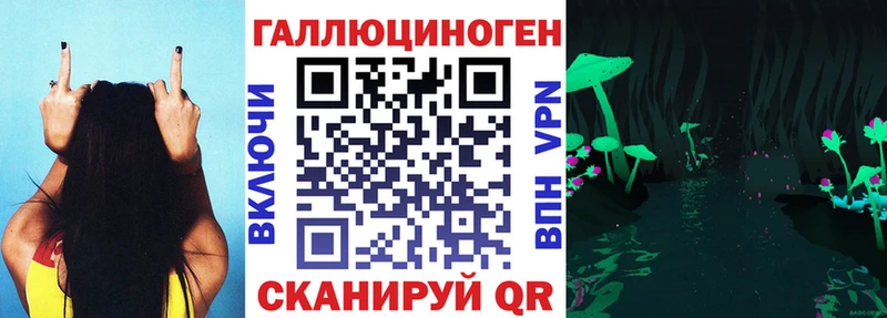 Псилоцибиновые грибы Psilocybe  как найти   Ногинск 